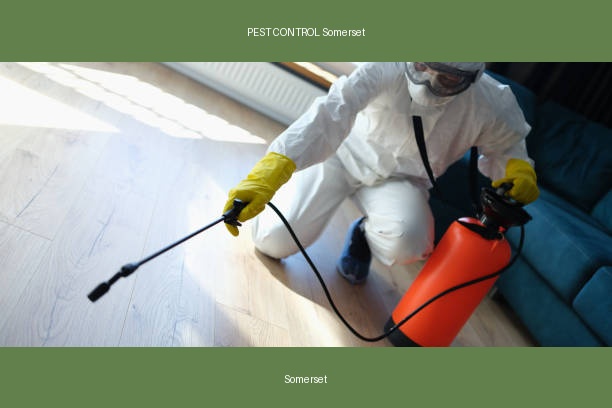 PEST CONTROL Somerset